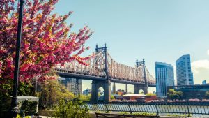 Blooming NYC in 2026: A Floral Adventure You Can’t Miss