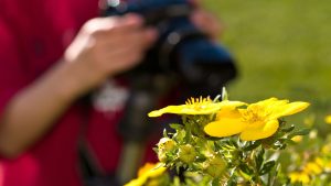 Flowers and Photography: A Perfect Match in 2026