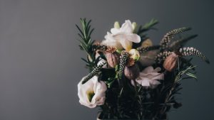 Floral Trends 2026: What’s Blooming Across the USA