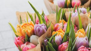 Getting Ready for March 8th: How to Make International Women’s Day Truly Special