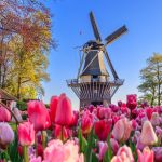 Marketing in the Netherlands: Why Dutch Business Culture Changes Everything